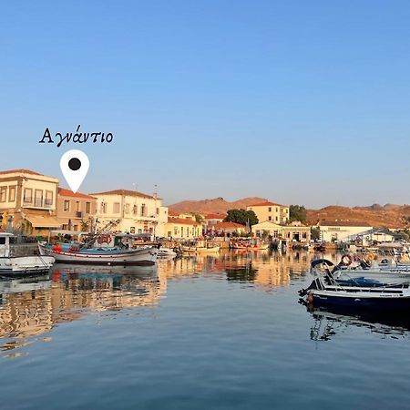 «Αγναντιο L» Δωμάτιο Με Μοναδική Θέα! 미리나 외부 사진