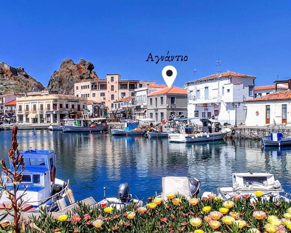 «Αγναντιο L» Δωμάτιο Με Μοναδική Θέα! 미리나 외부 사진