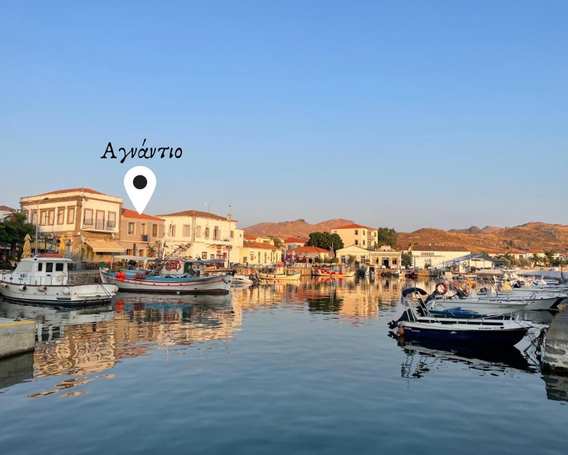 «Αγναντιο L» Δωμάτιο Με Μοναδική Θέα! 미리나 외부 사진